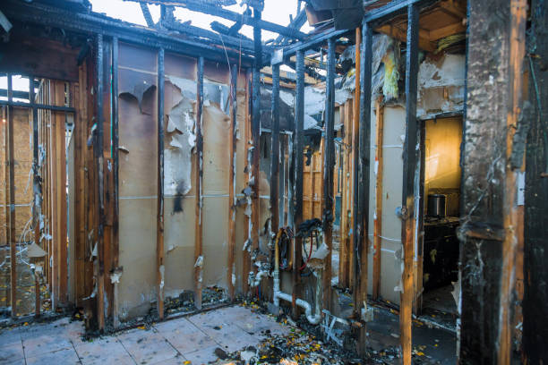 Professional Fire Damage Removal technician working in Haynesville, LA